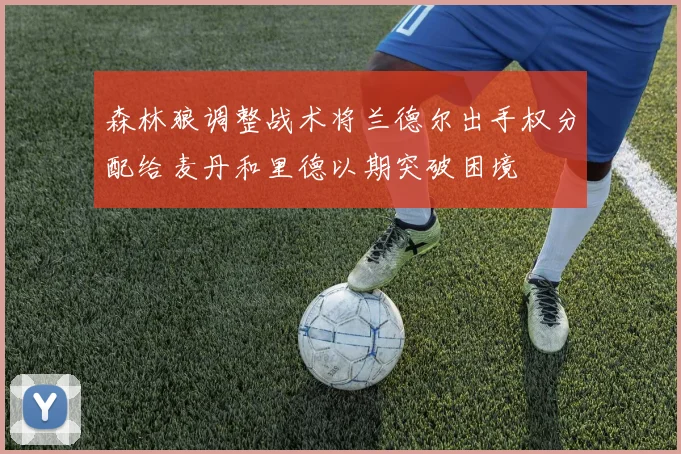 森林狼调整战术将兰德尔出手权分配给麦丹和里德以期突破困境